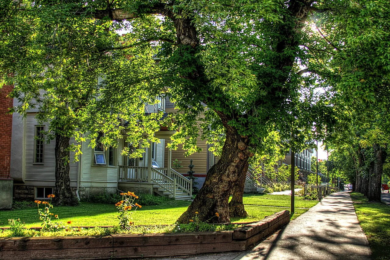 Student-Housing-University-of-Alberta-Edmonton-Alberta-Canada-01A
