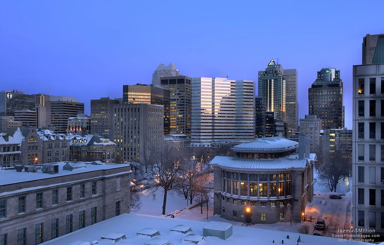 McGill at sunset