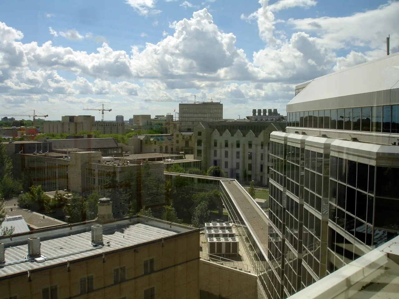 Towards the Arts Building