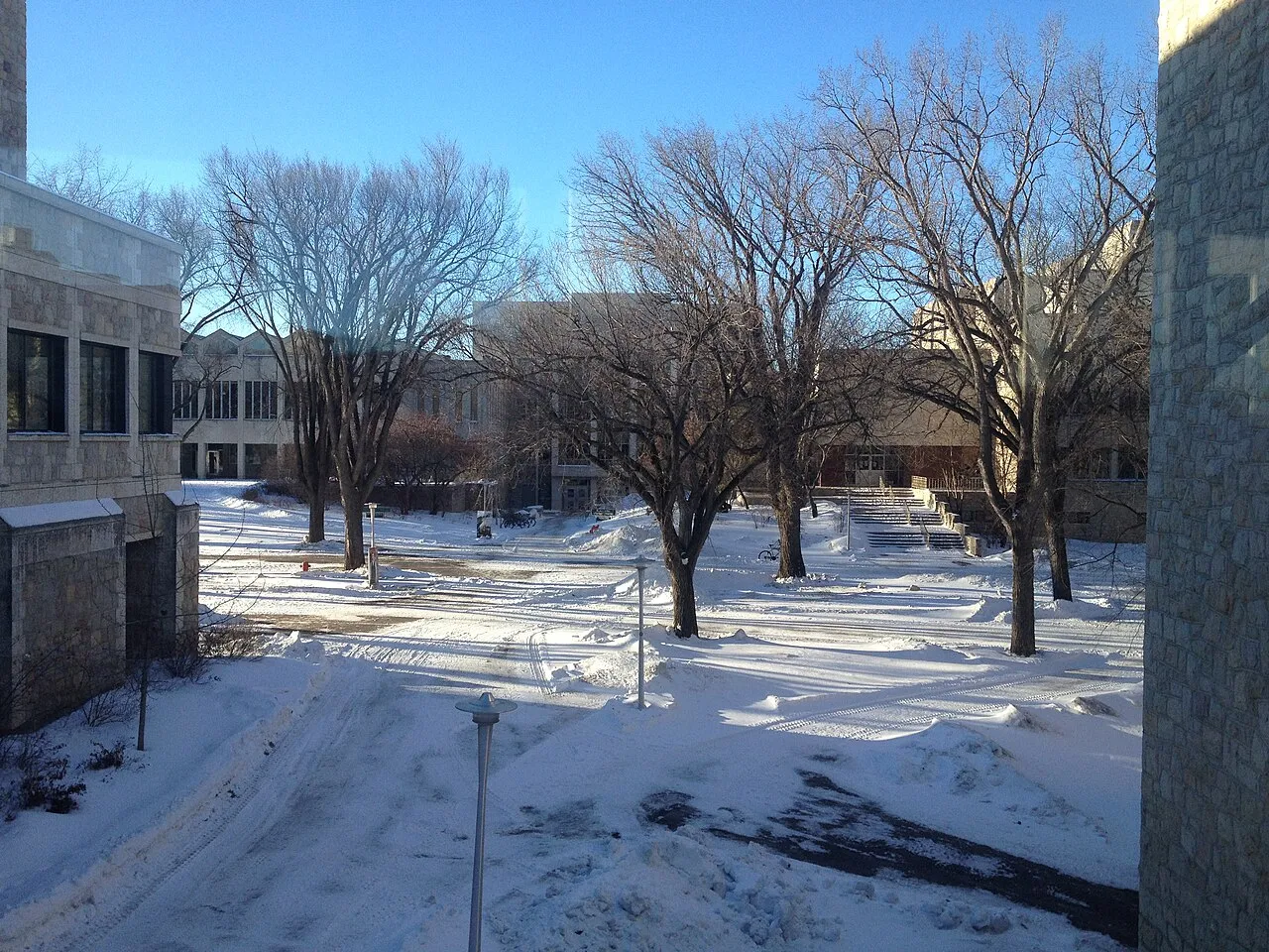 Wintery Campus